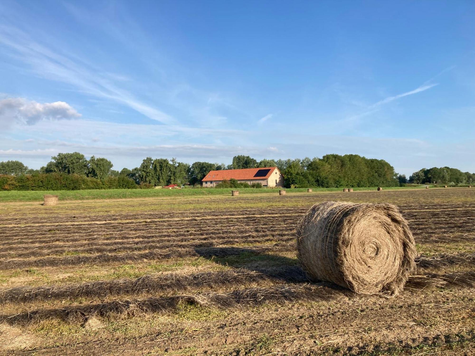 'T Wagenhuis Retranchement Zewnętrze zdjęcie